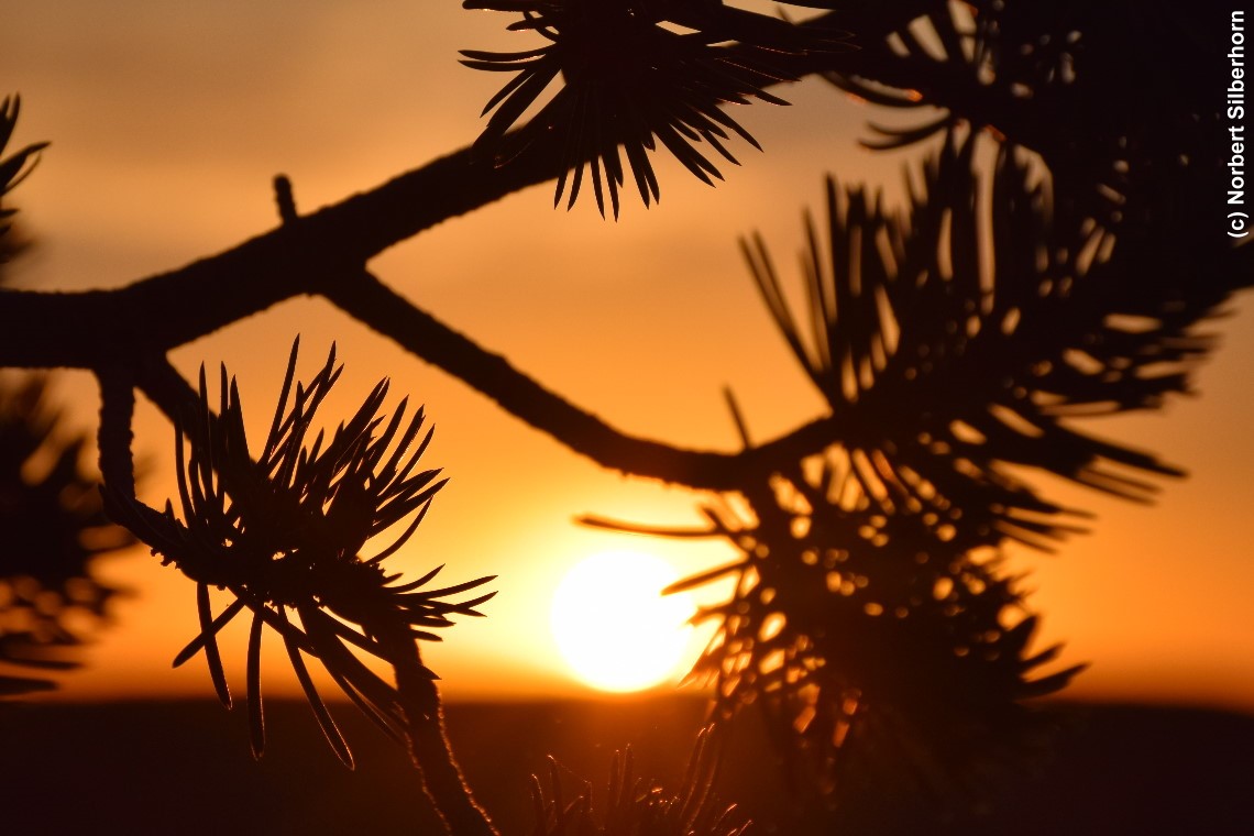 Sonnenuntergang, Grand Canyon (Arizona), USA, am 31.08.2018 um 18:51:24 
, &copy; Norbert Silberhorn