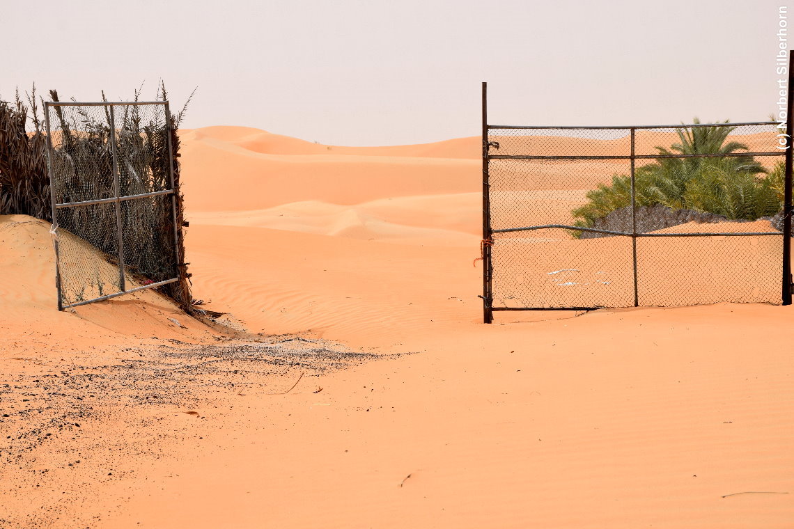 Wüste, Kayyam, Vereinigte Arabische Emirate, am 12.05.2018 um 16:53:51 
, © Norbert Silberhorn