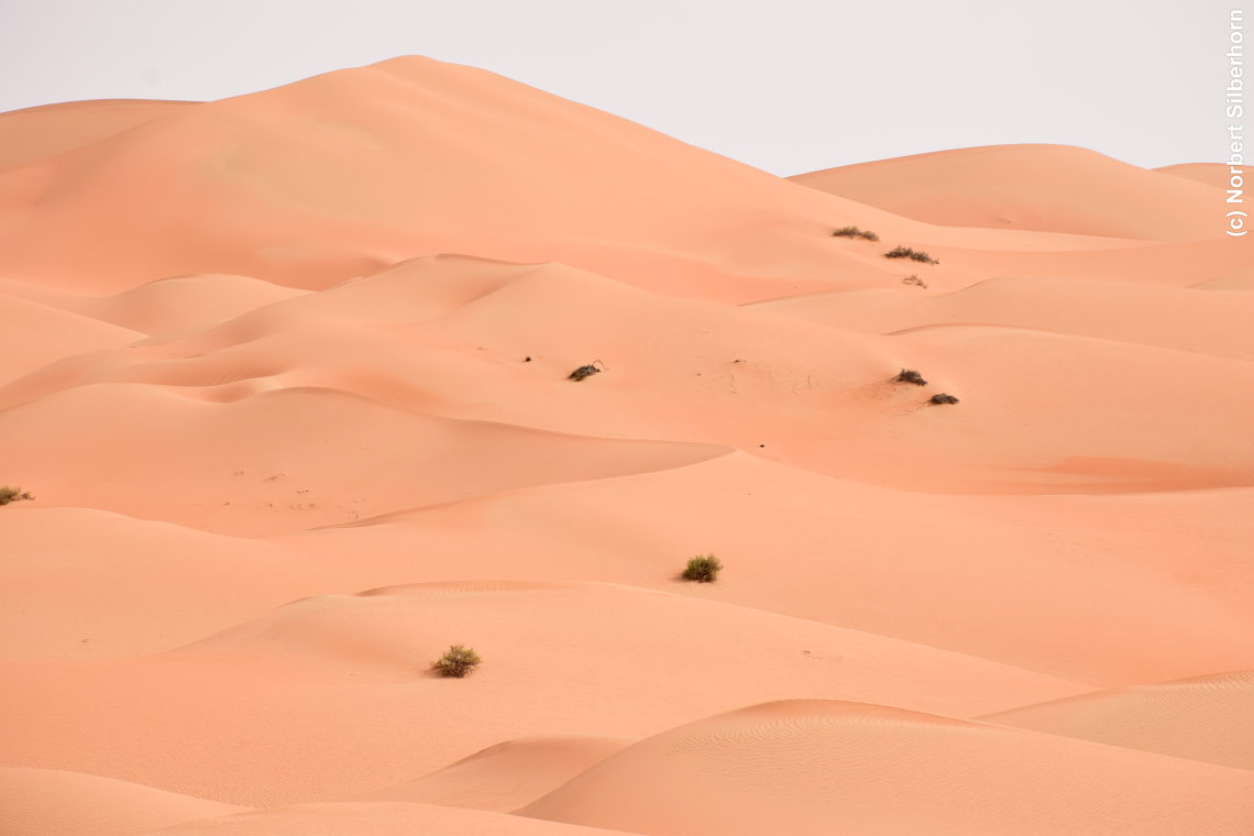 W&uuml;ste, Vereinigte Arabische Emirate, am 12.05.2018 um 15:52:58 
, &copy; Norbert Silberhorn