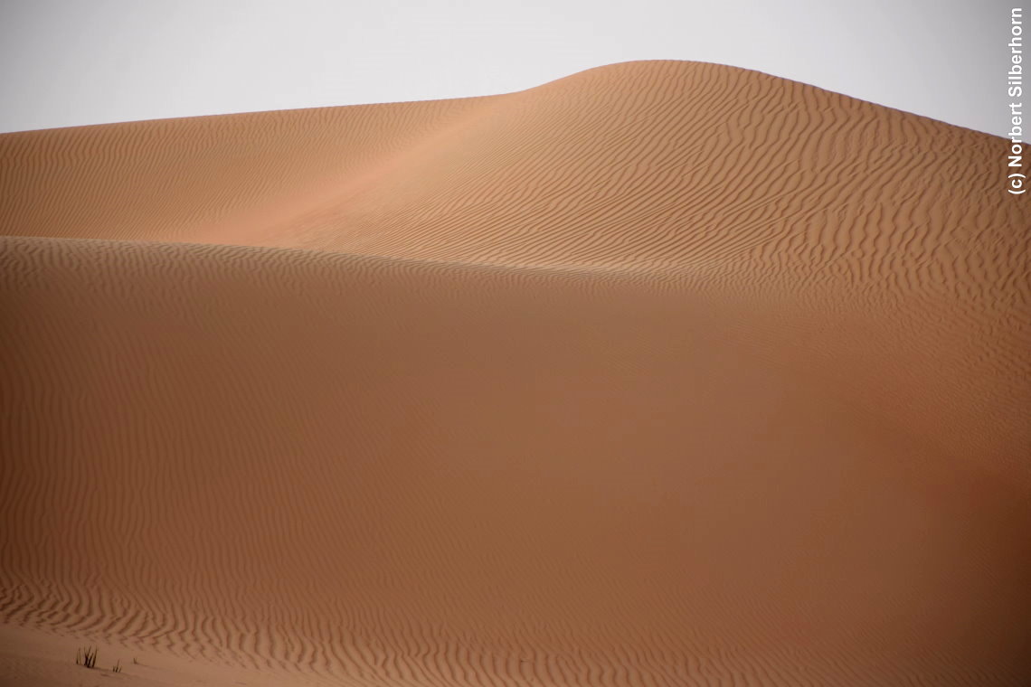 Wüste, Vereinigte Arabische Emirate, am 12.05.2018 um 17:15:59 
, © Norbert Silberhorn