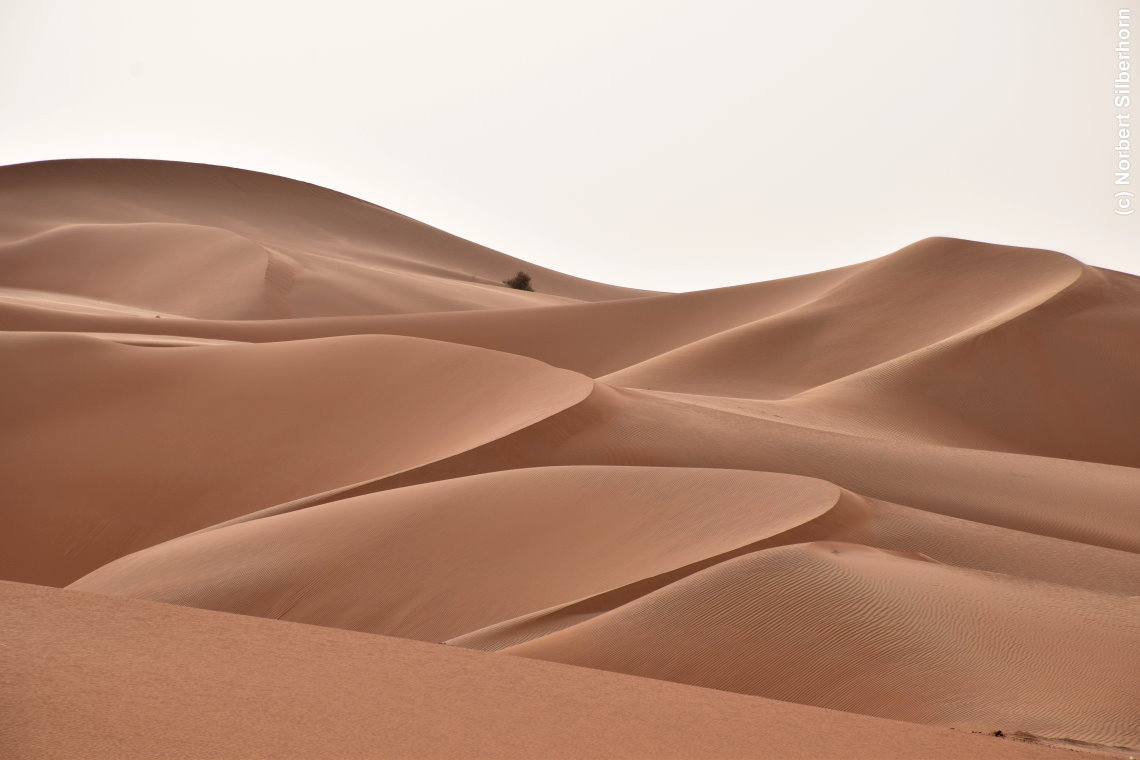 W&uuml;ste, Vereinigte Arabische Emirate, am 12.05.2018 um 17:18:21 
, &copy; Norbert Silberhorn
