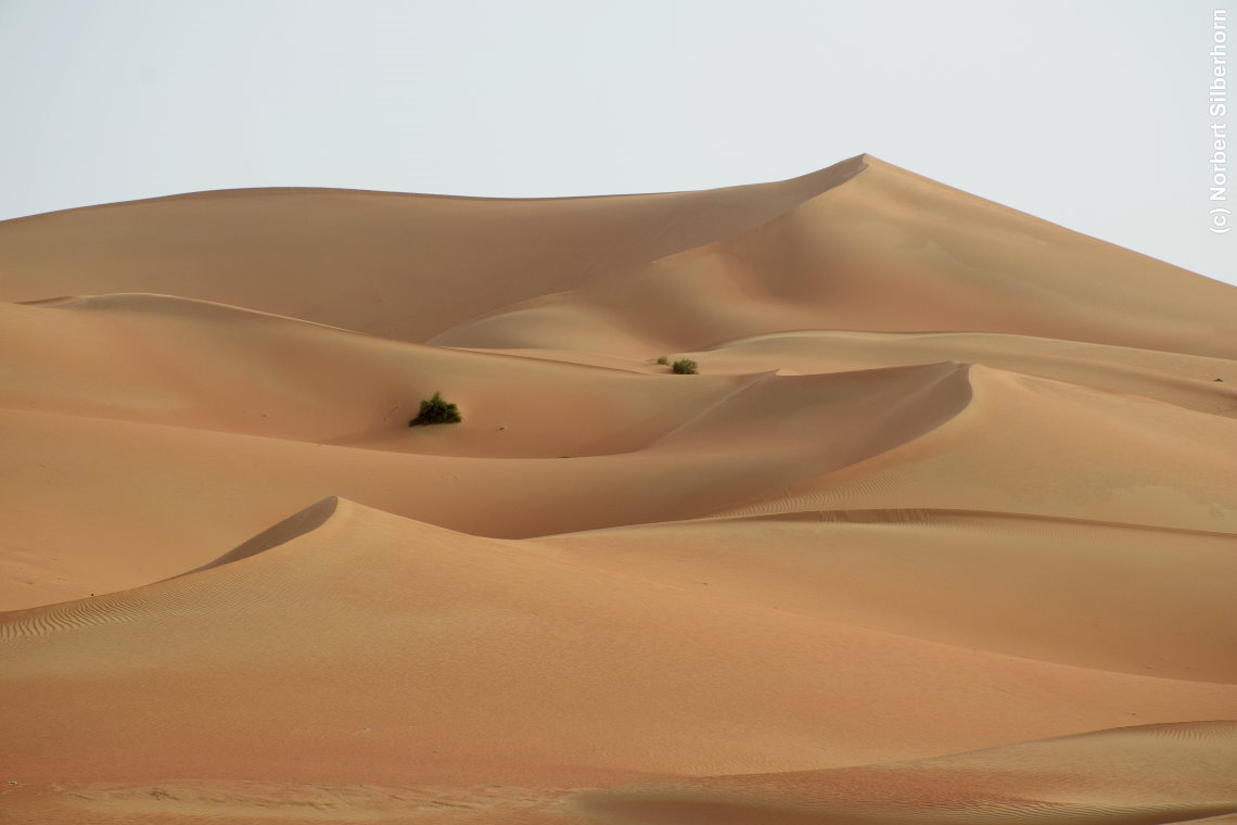 Wüste, Vereinigte Arabische Emirate, am 12.05.2018 um 17:19:56 
, © Norbert Silberhorn
