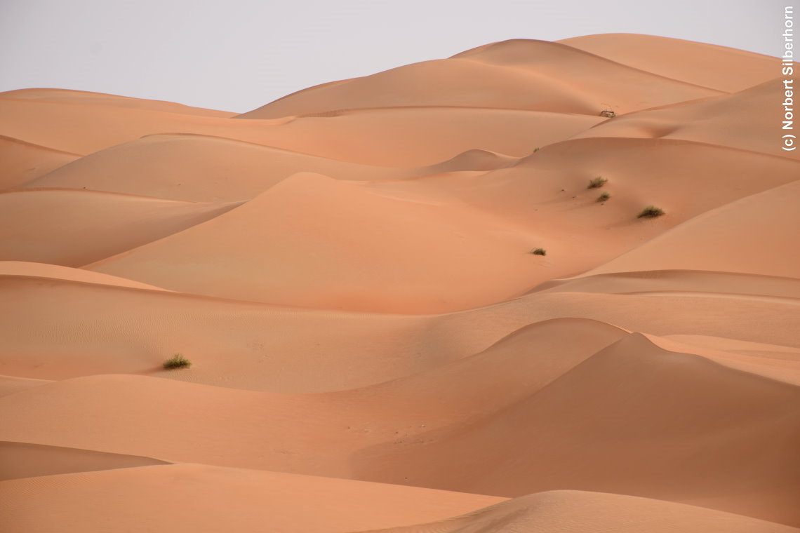 Wüste, Vereinigte Arabische Emirate, am 12.05.2018 um 17:21:52 
, © Norbert Silberhorn