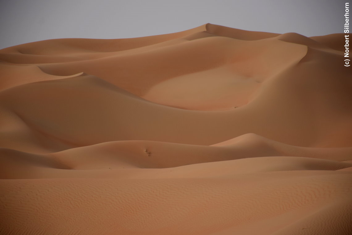 Wüste, Vereinigte Arabische Emirate, am 12.05.2018 um 17:27:29 
, © Norbert Silberhorn