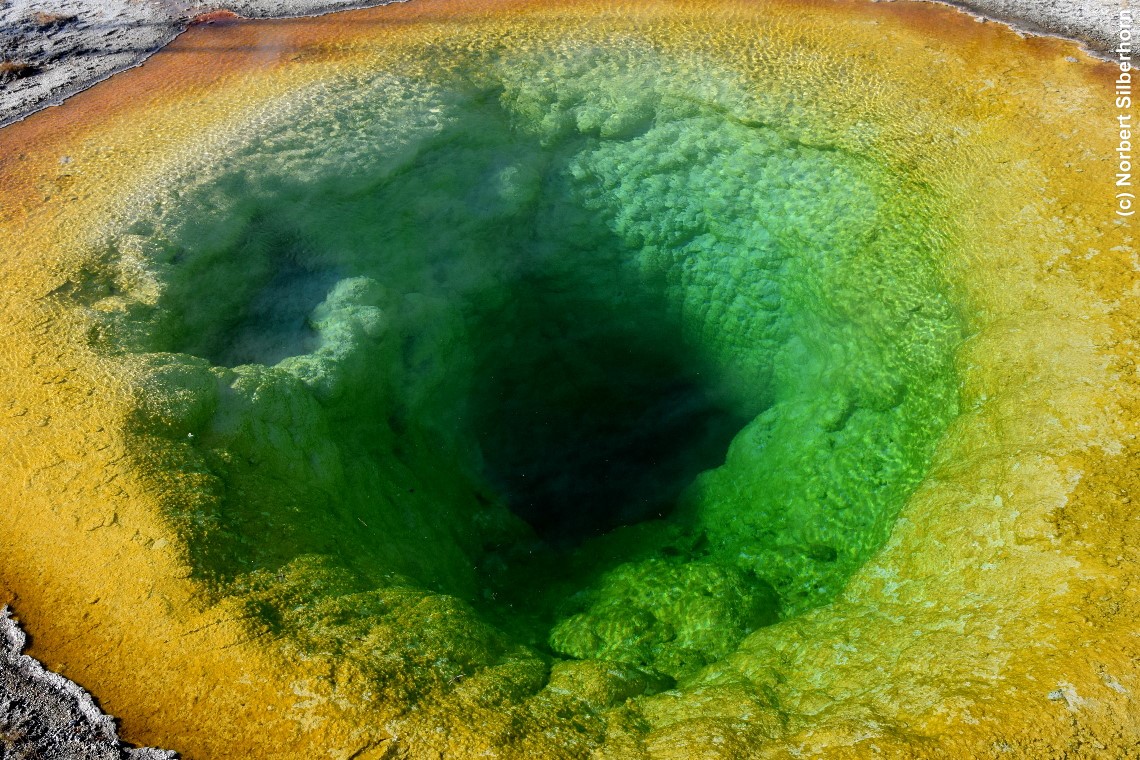 Morning Glory Pool, Yellowstone National Park (Wyoming), USA, am 16.09.2018 um 16:36:57 
, &copy; Norbert Silberhorn