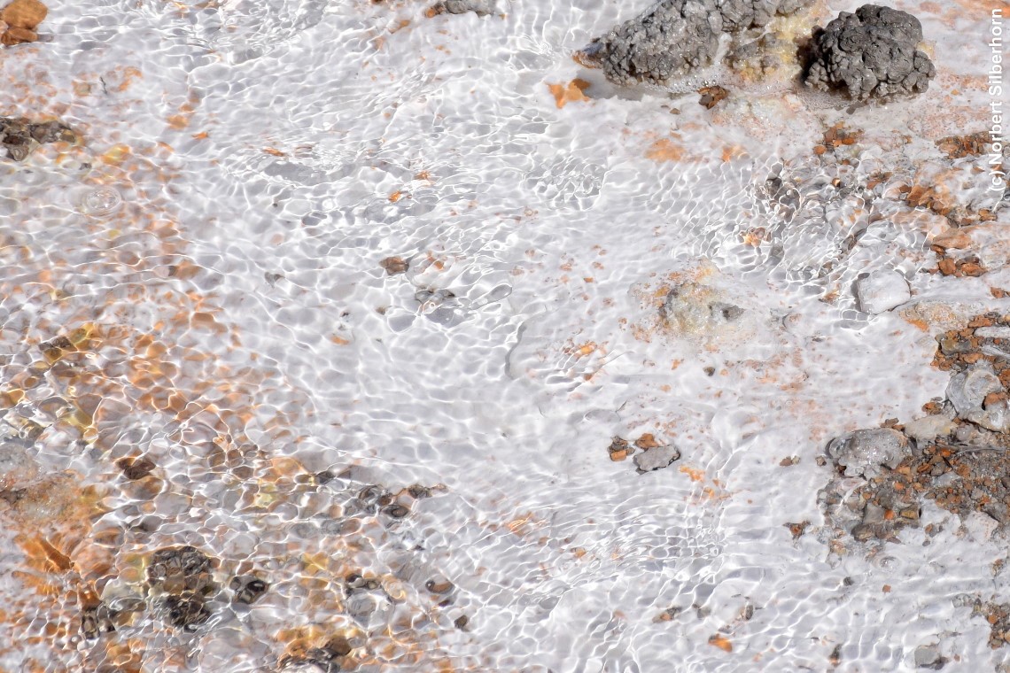 Wasser mit weißem Untergrund, Norris Geyser Basin, Yellowstone National Park (Wyoming), USA, am 17.09.2018 um 12:49:01 
, © Norbert Silberhorn