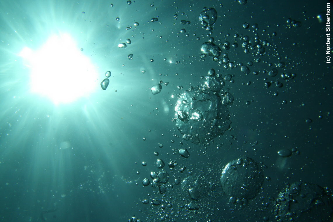 Aufsteigende Luftblasen (Unterwasseraufnahme), Réserve Naturelle de Cerbère-Banyuls, am 28.07.2015 um 11:56:12
, © Norbert Silberhorn