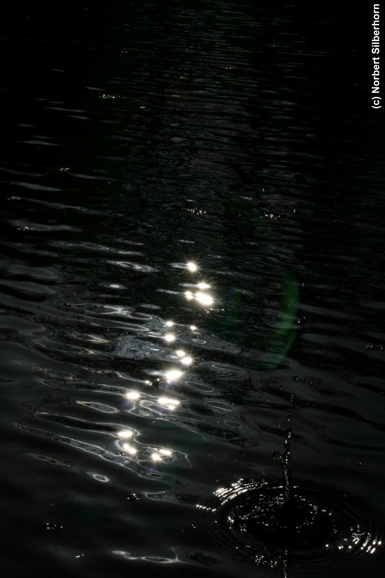 Blub im Wasser, Bayreuth, am 26.10.2006 um 10:01:56, © Norbert Silberhorn