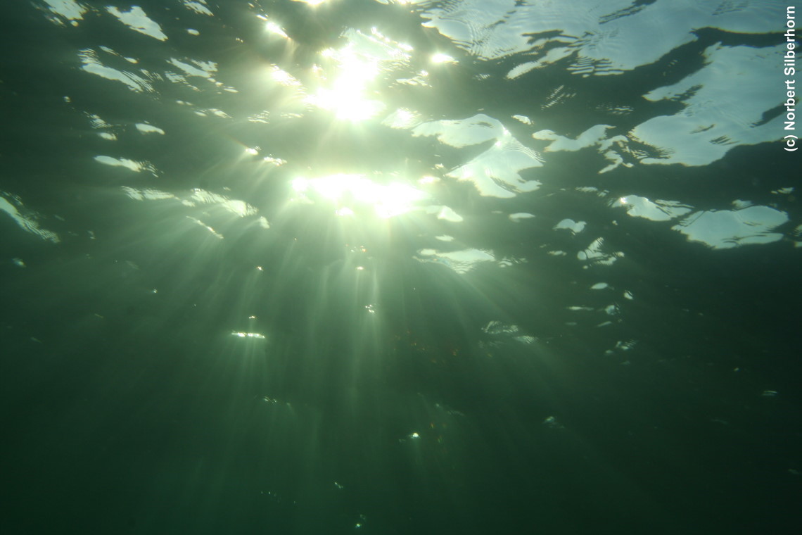 Sonne bricht durch die Wasseroberfl&auml;che (Unterwasseraufnahme), Sardinien, am 11.07.2010 um 18:41:35 
, &copy; Norbert Silberhorn