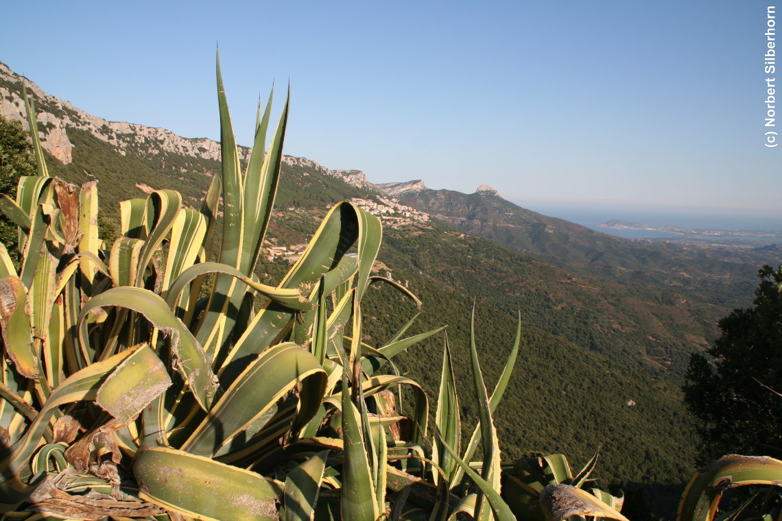 Landschaft mit Kakteen im Vordergrund, Sardinien, am 14.07.2010 um 17:52:19 
, © Norbert Silberhorn