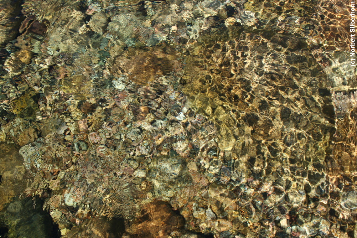 Klares Wasser, Korsika, am 17.09.2008 11:57:38 
, © Norbert Silberhorn