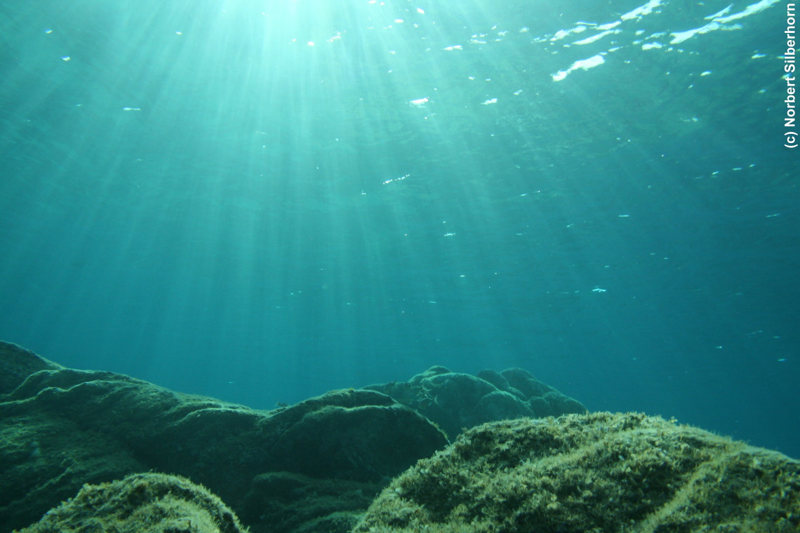 Unterwasserlandschaft (Unterwasseraufnahme), Korsika, am 25.09.2008 um 17:00:43 
, &copy; Norbert Silberhorn