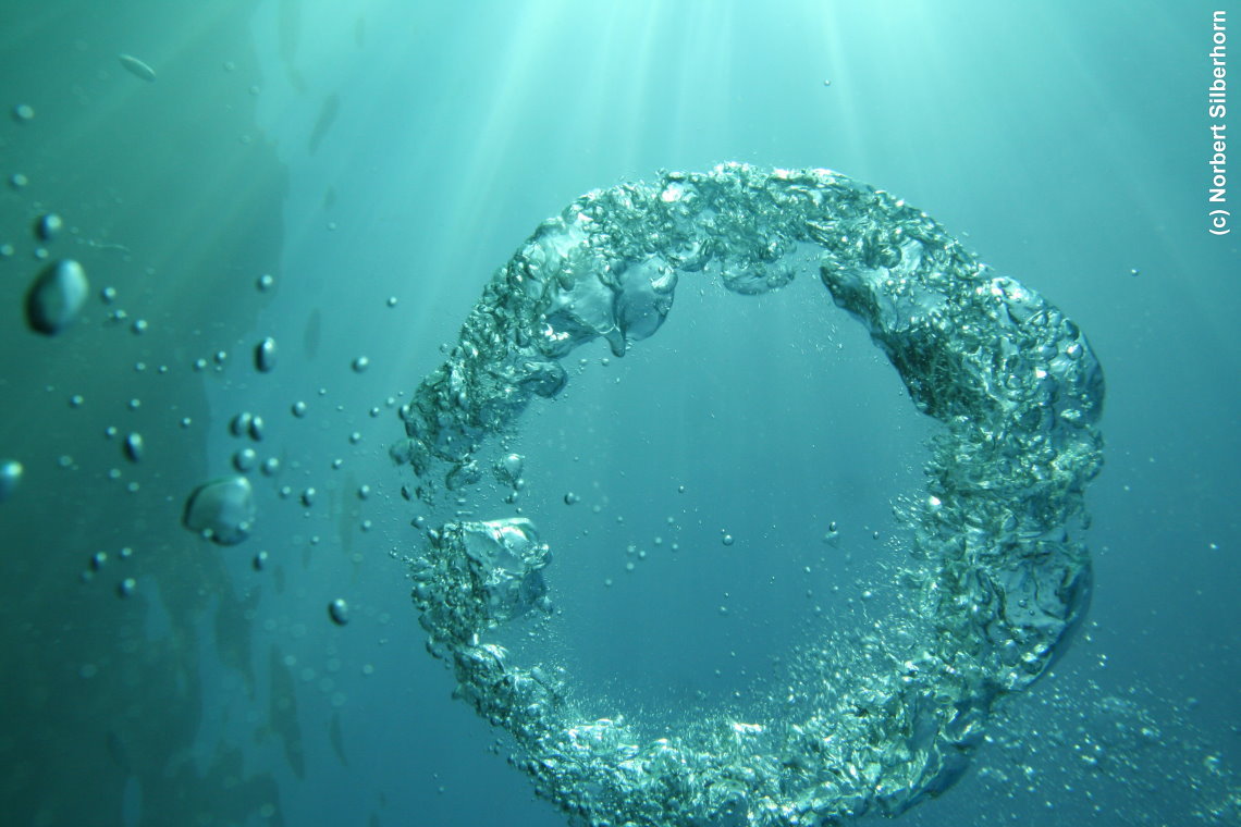 Aufsteigender Ring aus Luft, R&eacute;serve Naturelle de Cerb&egrave;re-Banyuls, am 12.08.2016 um 18:00:03
, &copy; Norbert Silberhorn