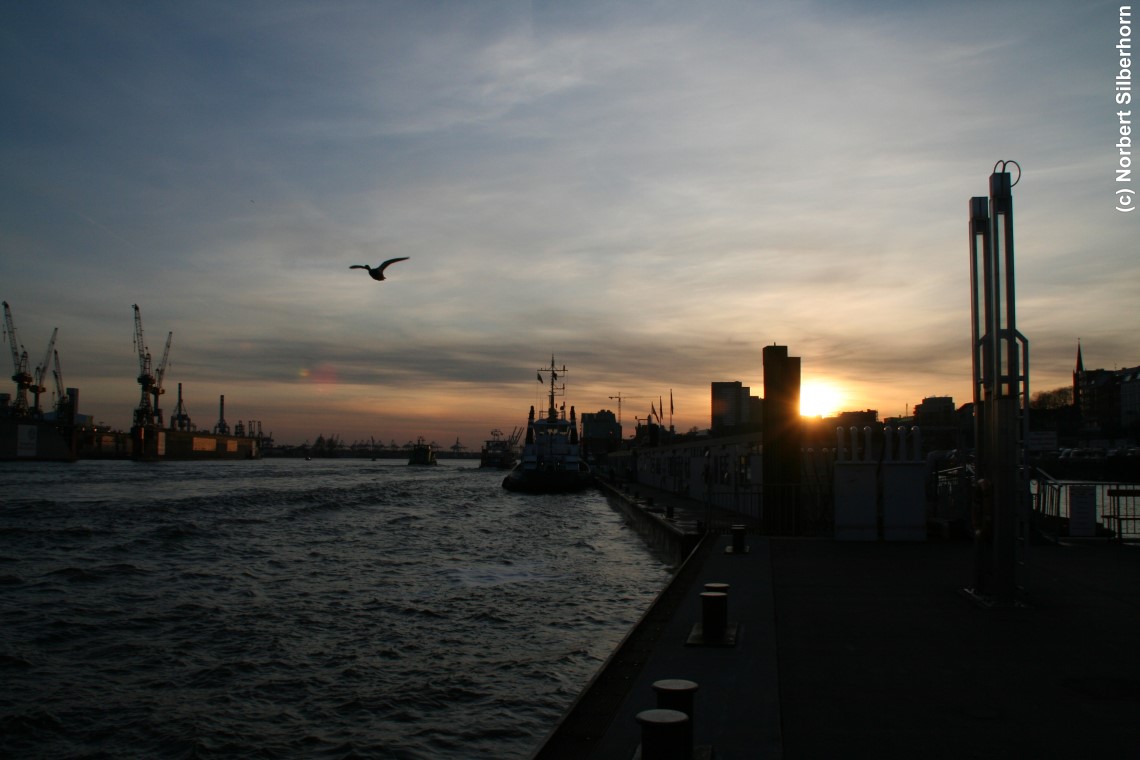 Ente im Sonnenuntergang, Hafen - Hamburg, am 02.04.2010 um 18:31:34, © Norbert Silberhorn
